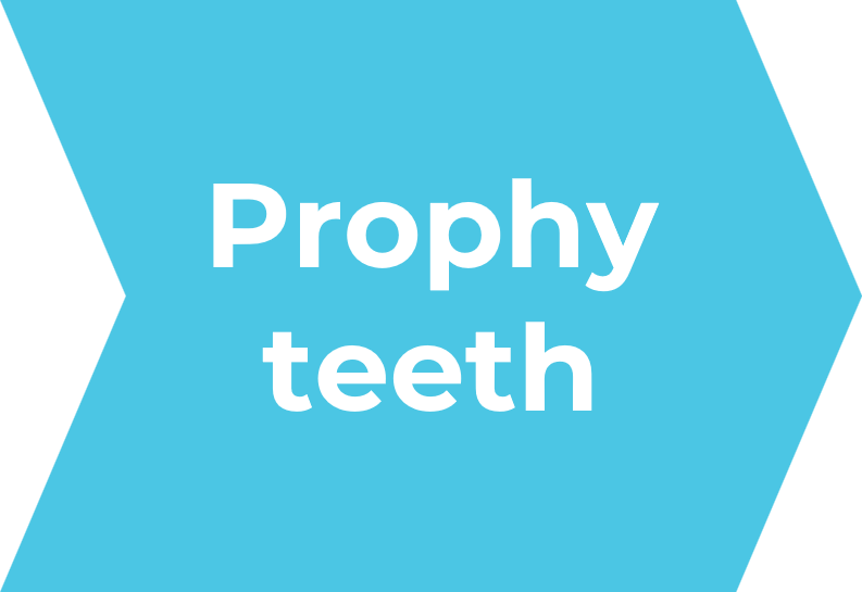 017 EtchFree 01 Prophy teeth
