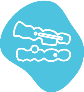 013 BiteSync icon